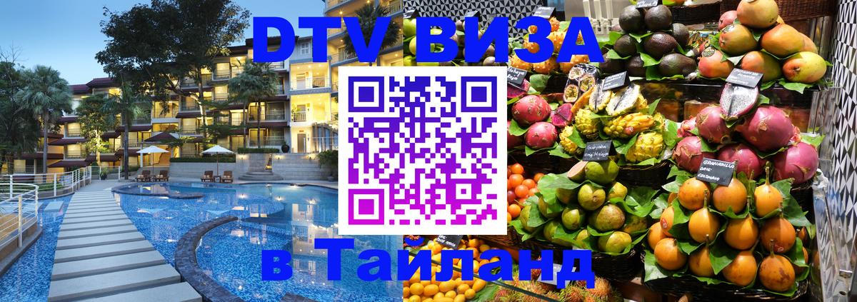 Сколько стоит DTV виза — актуальные цены, оформление даже без документов - Волгоград  19.11.2025 